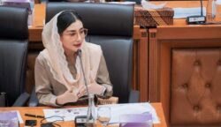 Anggota DPR-RI, Novita Hardini (istimewa)