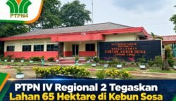 PTPN IV Regional 2 Tegaskan Lahan 65 Hektare di Kebun Sosa Masuk HGU